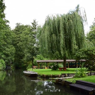 IM体育官方网站